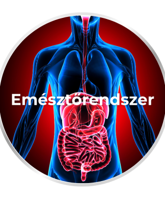 Emésztőrendszer