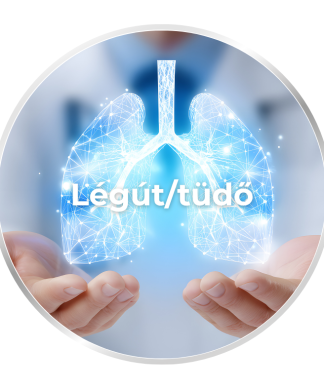 Légút/tüdő