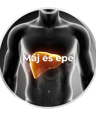 Máj és epe