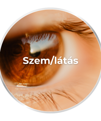 Szem/látás